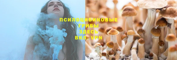 гашиш Богородицк