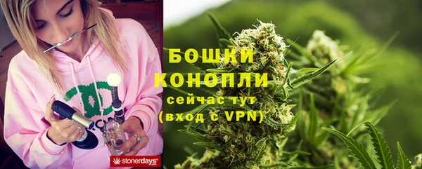 PSILOCYBIN Богородск